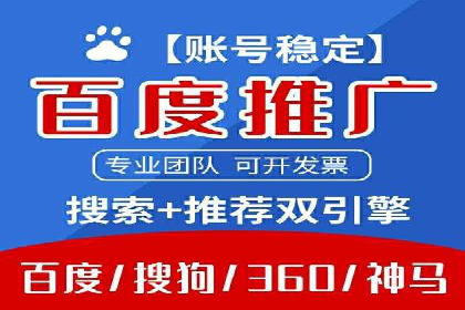 行业领先SEM托管代运营案例